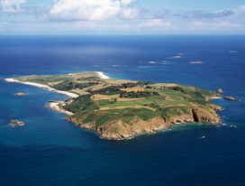 Trident Charter Co
